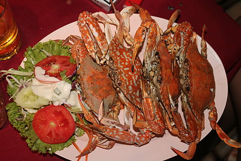 cibo, Granchi, frutti di mare, buongustaio, cena, cibo e bevande, freschezza, mangiare sano, pronto a mangiare, benessere, piatto, vista dall'alto, porzioni, crostaceo, in casa, tavolo, nessuno, natura morta, pasto, verdura, Granchio, avvicinamento, gamberetti - frutti di mare, 4K, CC0, dominio pubblico, privo di copyright