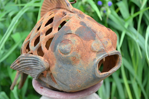 pesce, rustico, antico, artefatto, arrugginito, avvicinamento, metallo, pianta, nessuno, natura, giorno, erba, concentrarsi sulle conoscenze acquisite, colore verde, all'aperto, foglia, rappresentazione, vecchio, parte vegetale, crescita, scultura, rappresentazione umana, creatività, arte e artigianato, 4K, CC0, dominio pubblico, privo di copyright
