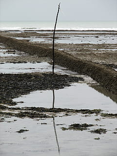 Ebbe, Ozean, Reflexion, Landschaft, Ufer, Wasser, Meer, Strand, Land, Ruhe, Natur, Tag, ruhige Szene, Schönheit in der Natur, Horizont, Szenen - Natur, Horizont über Wasser, keine Leute, Himmel, Nicht-städtische Szene, nass, draußen, Sand, idyllisch, Verschmutzung, 1080P, CC0, gemeinfrei, lizenzfrei
