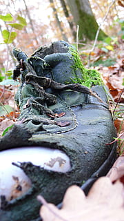 Schuhe, alt, Müll, Nahansicht, Tag, draußen, Tierthemen, menschliches Körperteil, Tiere in freier Wildbahn, menschliche Hand, Hand, selektiver Fokus, Natur, eine Person, Tierwelt, nicht erkennbare Person, echte Menschen, Wirbeltier, halten, Körperteil, Lebensmittel, Amphibie, Finger, Blätter, 4K, CC0, gemeinfrei, lizenzfrei
