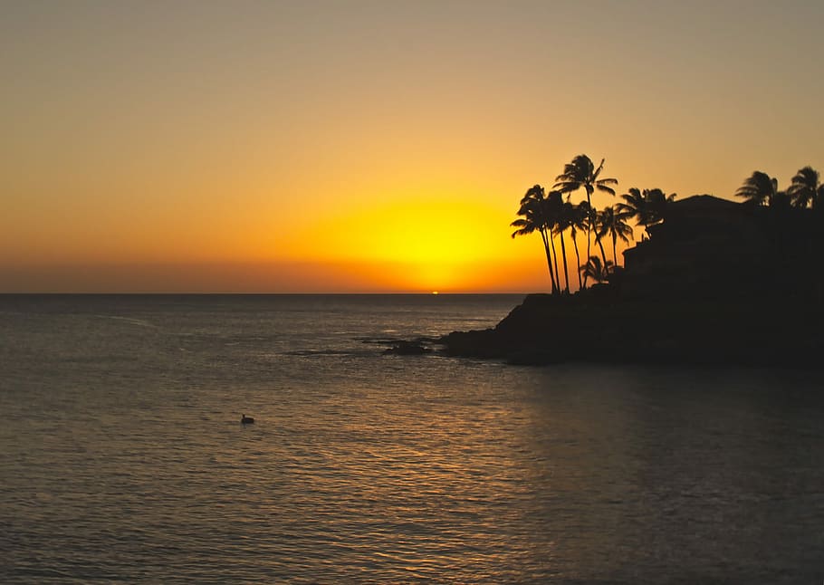 illa de silueta, daurat, hores, posta de sol, oceà, última llum, reflexió, horitzó, escena, aigua, cel, mar, bellesa a la natura, escenics - natura, tranquil·litat, escena tranquil·la, horitzó sobre l’aigua, arbre, idíl·lic, color taronja, davant del mar, naturalesa, Palmera, cap gent, silueta, clima tropical, a l'aire lliure, palmera de coco, cel romàntic, 4K