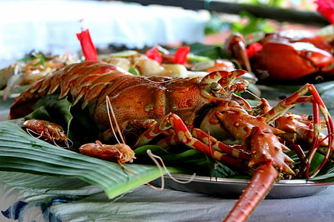 køkken, krebs, plade, flad, krebsdyr, fiskeri, hav, mad, fisk og skaldyr, hummer, gourmet, klo, friskhed, lavede mad, måltid, aftensmad, rød, mad og drikke, sund kost, tæt på, velvære, fokus på forgrunden, klar til at spise, ingen mennesker, stilleben, selektiv fokusering, dag, dyr, 4K, CC0, offentligt domæne, royaltyfrie