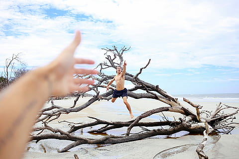 mão, pulando, cara, aguarde, filiais, nuvens, segurar a mão, domínio público, céu, árvore, natureza, ao ar livre, mar, panorama, ramo, mão humana, parte do corpo humano, uma pessoa, dia, árvore nua, dedo, plantar, dedo humano, tranquilidade, nuvem - céu, parte do corpo, scenics - natureza, beleza na natureza, terra, cena tranquila, planta morta, 2K, CC0, domínio público, royalty free