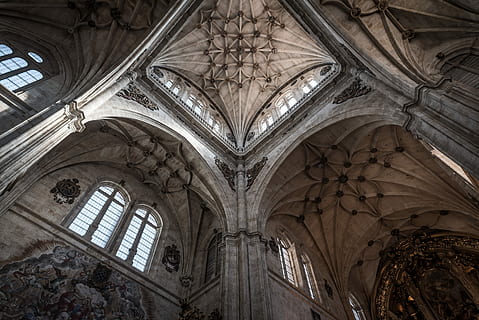 fotografia d'angle baix, catedral, cuc, fotografia d'ulls, interior, sostre, edifici, finestra, arquitectura, arc, estructura construïda, vista d’angle baix, lloc de culte, religió, a l'interior, creença, espiritualitat, destinacions de viatge, cap gent, el passat, història, dia, columna arquitectònica, arquitectura i art, ornamentat, estil gòtic, abadia, mural, arquejat, 5K, CC0, domini públic, lliure de regalies