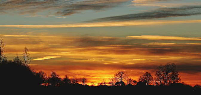 silhuet, træer, gylden, time, solnedgang, sol, aftenhimmel, skyer, Abendstimmung, panorama, himmel, efterglød, romantik, humør, sollys, romantisk, vinter sol, vinter, aften timer, aften, skumring, fjern, atmosfærisk, horisont, atmosfære, landskab, natur, tusmørke, rød, stadig, orange, scenics, orange farve, ro, rolig scene, skønhed i naturen, dramatisk himmel, ingen mennesker, sky - himmel, scenics - natur, træ, plante, ikke-urbane scene, idyllisk, bare træ, miljø, udendørs, jord, 5K, CC0, offentligt domæne, royaltyfrie