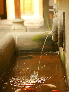 fonte, acqua, pietra, cano, getti, nessuno, architettura, concentrarsi sulle conoscenze acquisite, movimento, avvicinamento, giorno, struttura costruita, far cadere, all'aperto, natura, bagnato, fluente, colonna architettonica, Fontana, acqua corrente, caduta, costruzione, purezza, acqua che cade, 2K, CC0, dominio pubblico, privo di copyright