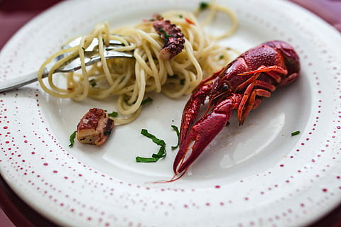 dinner, seafood pasta, crayfish, red, wine, table, decorated, roses, Fancy, seafood, pasta, red wine, elegant, octopus, food, gourmet, plate, freshness, prepared Shellfish, cooked, food And Drink, meal, close-up, prepared Shrimp, healthy Eating, prawn, crockery, lobster, no People, vegetable, indoors, ready-to-eat, italian food, wellbeing, serving size, indulgence, garnish, meat, still life, spaghetti, temptation, food styling, 4K, CC0, public domain, royalty free