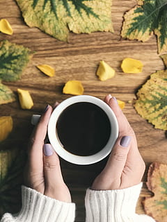 person, bedrift, kop, fyldt op, kaffe, kvinde, krus, te, hånd, drikke, blade, blad, bord, efterår, flatlay, negle, kaukasiske, mad og drikke, menneskelig hånd, forfriskning, en person, rigtige mennesker, menneskelig kropsdel, kaffe - drikke, høj vinkel visning, kaffekop, livsstil, uigenkendelig person, direkte over, friskhed, finger, alkoholfri drikkevare, 4K, CC0, offentligt domæne, royaltyfrie