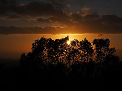 Wolken, Sonnenuntergang, Passage, Sonne, Abend, romantisch, Romantik, Gelb, hell, Sonnenlicht, Abendstunden, Bäume, Wald, Himmel, Baum, Szenen - Natur, Silhouette, Pflanze, Schönheit in der Natur, Ruhe, ruhige Szene, Natur, keine Leute, orange Farbe, wolke - himmel, Wachstum, Nicht-städtische Szene, idyllisch, draußen, Land, Umgebung, Dramatischer Himmel, 4K, CC0, gemeinfrei, lizenzfrei