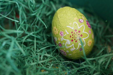 groc, focalitzar la fotografia, verd, floral, ou de Pasqua, ou, niu de Pasqua, nen, nens, primavera, Pasqua, cerca, niu, conill de Pasqua, amagat, amagar-se, salutació de pasqua, xocolata, caramels, busqui ous, celebració, menjar, festa, planta, primer pla, menjar i beguda, naturalesa, herba, cap gent, color verd, decoració, esdeveniment, religió, vacances - esdeveniment, creença, a l'aire lliure, 5K, CC0, domini públic, lliure de regalies
