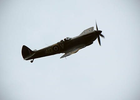 svart, grå, slåssing, fly, spitfire, av, jagerfly, krig, luft, militær, luftfartøy, propell, raf, british, slag, Pilot, årgang, WW2, andre verdenskrig, historisk, Super, flying, transport, luftstyrke, armerte styrker, himmel, kopiere plass, lav vinkel visning, ingen folk, transportmiddel, dag, natur, hær, enkelt objekt, militært fly, utendørs, sidevisning, på farten, flyindustrien, 1080P, CC0, offentlig domene, opphavsrett gratis