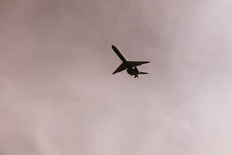 fly, flyvende, himmel, dag tid, hvid, overskyet, stadig, elementer, ting, flyvningen, flyve, transportmidler, skyer, lilla, lav vinkel visning, ingen mennesker, luftfartøj, udendørs, Midt i luften, dag, dyreliv, dyr i naturen, dyr, hvirveldyr, dyre temaer, et dyr, fugl, spredte vinger, natur, sky - himmel, bevægelse, skønhed i naturen, fuld længde, 4K, CC0, offentligt domæne, royaltyfrie
