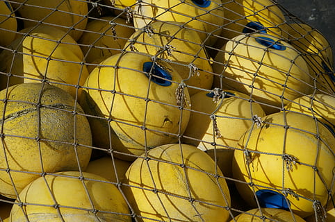 pesce, netto, galleggiante, catturare, pesca, commerciale, industria, all'aperto, affrontare, pescatore, oceano, giallo, nessuno, giorno, uccello, animale, pila, industria ittica, gabbia, grande gruppo di oggetti, gruppo di animali, abbondanza, metallo, boa, avvicinamento, scelta, temi animali, Al dettaglio, variazione, 4K, CC0, dominio pubblico, privo di copyright