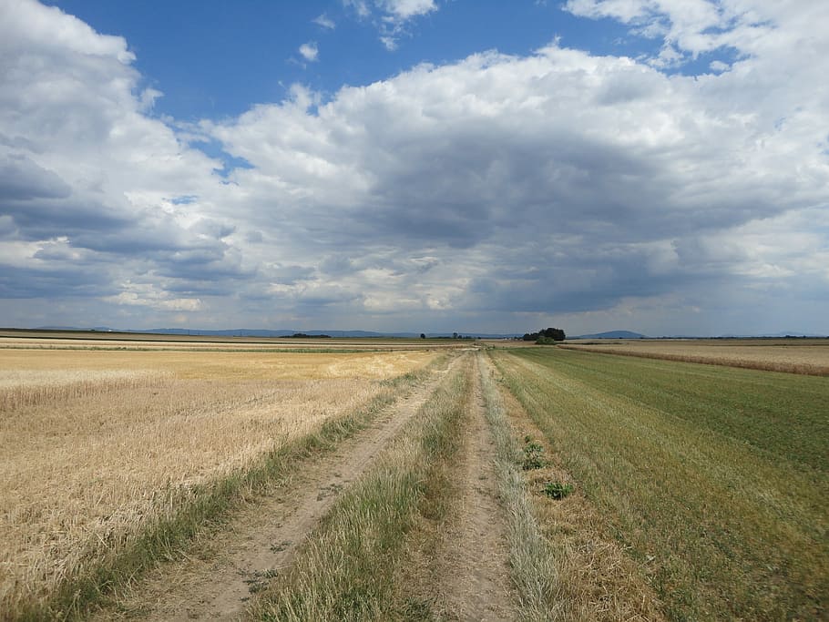 horitzó, pis, assolellat, estiu, cel, ampli, paisatge, naturalesa, tranquil, agricultura, núvol - cel, camp, escena rural, terra, medi ambient, escenics - natura, bellesa a la natura, tranquil·litat, horitzó sobre la terra, dia, escena tranquil·la, planta, carretera, cap gent, direcció, a l'aire lliure, 4K