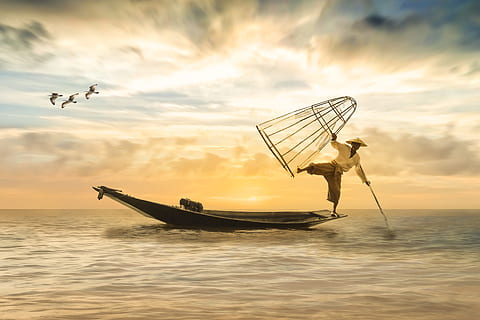man, standing, brown, boat, using, left, foot, fischer, fishing boat, boot, fish, sea, water, lake, fishing net, gulls, sky, sunset, romantic, landscape, clouds, nature, mood, abendstimmung, evening sky, bright, silent, rest, setting sun, romance, atmospheric, photo montage, composing, nautical vessel, mode of transportation, transportation, cloud - sky, scenics - nature, waterfront, beauty in nature, idyllic, orange color, vertebrate, animal, horizon over water, occupation, animal themes, fisherman, outdoors, fishing industry, 5K