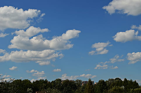 céu, nuvens, azul, cobertura de nuvens, céu azul, natureza, nuvem, Visão, glomérulo, o sol, panorama, branco, a altura do, espaço, clima, nuvem - céu, árvore, plantar, beleza na natureza, scenics - natureza, ninguém, dia, tranquilidade, cena tranquila, ao ar livre, meio Ambiente, visão de baixo ângulo, luz solar, cloudscape, copie o espaço, cor verde, atmosfera, copa de árvore, limpar \ limpo, 4K, CC0, domínio público, royalty free