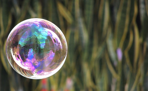 gràfics, bombolla, sabó, el, carrer, reflexió, brillant, primer pla, esfera, multicolor, sol objecte, centrar-se en primer pla, naturalesa, cap gent, fragilitat, forma, arbre, a l'aire lliure, transparent, dia, primer pla extrem, cercle, sabó sud, vulnerabilitat, porpra, 4K, CC0, domini públic, lliure de regalies