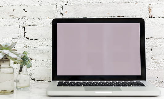 MacBook, Profi, Tabelle, leer, Bildschirm, leeren, Computer, kopieren sie platz, schmücken, Design Raum, Gerät, Digital, digitales Gerät, Laptop, Attrappe, Lehrmodell, Simulation, Notizbuch, Pflanze, Platz, kabellos, Technologie, kabellose Technologie, Kommunikation, Verbindung, keine Leute, Computerausrüstung, schwarze Farbe, weiße Farbe, Blume, Computernetzwerk, Geschäft, Computerbildschirm, blühende Pflanze, modern, Tastatur, 4K, CC0, gemeinfrei, lizenzfrei