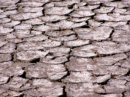 salino, il terreno si spezzò, siccità, fotogramma intero, sfondi, modello, strutturato, nessuno, giorno, avvicinamento, natura, all'aperto, screpolato, ruvido, sentiero, pianta, vista dall'alto, clima arido, parete, luce del sole, clima, albero, modello naturale, 1080P, CC0, dominio pubblico, privo di copyright