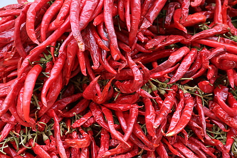 chili, rød, skarp, krydderi, fyrig, pepperoni, chili peber, peber, bælg, pikant, mad, markedsbod, brænde, sund og rask, vitaminer, marked, spise, pod, peberfrugt, fuld ramme, mad og drikke, baggrunde, grøntsag, overflod, rød chili peber, friskhed, stor gruppe af objekter, stilleben, ingen mennesker, velvære, tæt på, til salg, sund kost, 5K, CC0, offentligt domæne, royaltyfrie