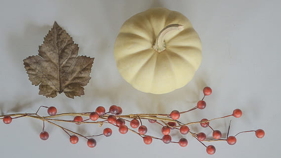 düşmek, Yaprak, kabak, beyaz kabak, gourds, natürmort, yukardan, mevsimlik, sonbahar, bitki bölümü, stüdyo çekimi, doğa, bitki, insansız, yiyecek ve içecek, içeriye, Gıda, meyve, sağlık ve tıp, kapatmak, tazelik, değişiklik, sağlıklı beslenme, kırmızı, tıp, doğrudan yukarıda, dijital bileşik, doğal durum, 1080P, CC0, kamu malı, telif ücretsiz