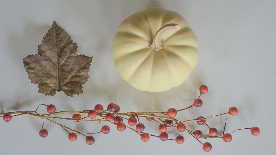 cădea, frunze, dovleac, dovleac alb, tigve, natură moartă, de sus, sezonier, toamnă, parte a plantelor, studio shot, natură, plantă, nici o persoana, mancare si bautura, în interior, alimente, fruct, sănătate și medicină, a închide, prospeţime, Schimbare, mâncat sănătos, roșu, medicament, direct deasupra, compozit digital, starea naturala, 1080P