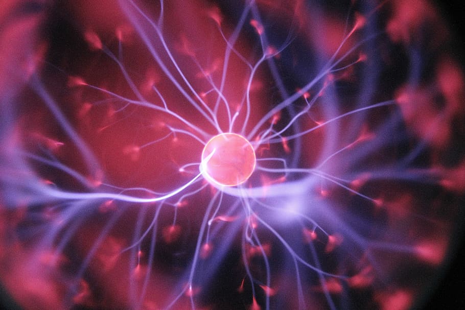 porpra, rosa, bola de plasma, il·lustració de plasma, ciència, àtom, nuclis, cel·la, sinapsis, laboratori, recerca, experimentar, d’un altre món, científic, energia, còsmic, raig, plasma, primer pla, cap gent, marí, naturalesa, la vida marina, sota l'aigua, mar, vermell, aigua, animals a la natura, fons, fauna animal, primer pla extrem, submarí, resum, bellesa a la natura, a l'aire lliure, patró, marc complet, temes d'animals, 5K
