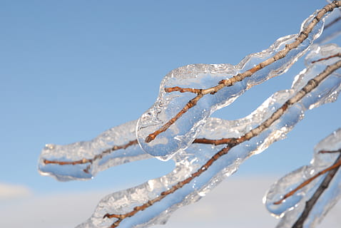 ghiaccio, ramo di un albero, ramo, pioggia zing, freddo, inverno, albero, tempo metereologico, paesaggio, congelato, gelido, natura, ghiaccioli, la neve, freddo - temperatura, brina, blu, ghiacciolo, cielo, temperatura fredda, giorno, concentrarsi sulle conoscenze acquisite, luce del sole, avvicinamento, cielo sereno, nessuno, all'aperto, bellezza nella natura, Inquadratura dal basso, Colore bianco, copia spazio, braccia alzate, 4K, CC0, dominio pubblico, privo di copyright