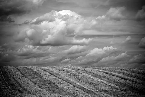 Graustufenfoto, öffnen, Feld, wolkig, tagsüber, Landschaft, Sommer-, Felder, Natur, Landwirtschaft, Getreide, Acker-, gepflügt, Erde, Boden, Anbau, Ernte, Umgebung, Ackerland, Grat, Textur, Himmel, Wolken, bedeckter Himmel, Wolken bilden sich, dunkle Wolken, Schwarz-Weiss, Schwarz und weiß, sw, Kumuluswolken, wolke - himmel, Wolkengebilde, Land, ländliche Szene, Szenen - Natur, Schönheit in der Natur, Horizont über Land, keine Leute, Ruhe, ruhige Szene, Tag, Bauernhof, Horizont, 4K, CC0, gemeinfrei, lizenzfrei