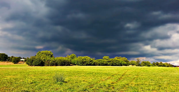 nuvole, tempesta, pioggia, campo, prato, natura, paesaggio, vista, cielo, prima della tempesta, nuvole scure, pianta, nuvola - cielo, colore verde, erba, albero, ambiente, terra, bellezza nella natura, scenics - natura, scena rurale, la tranquillità, nessuno, pianura, scena tranquilla, all'aperto, primavera, 1080P, CC0, dominio pubblico, privo di copyright