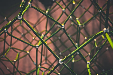 closeup, photography, green, ropes, network, networking, rope, connection, net, netting, connectors, mesh, link, linking, linked, join, joints, support, infrastructure, chainlink fence, wire mesh, metal, fence, security, close-up, protection, no people, wire, sport, focus on foreground, pattern, day, boundary, barrier, safety, backgrounds, outdoors, selective focus, nature, 5K, CC0, public domain, royalty free