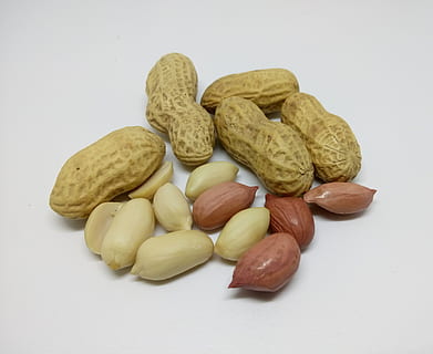 cacauets marrons, cacauets, fruita seca, crua, fons blanc, menjar, menjar i beguda, tir de l'estudi, a l'interior, benestar, natura morta, frescor, alimentació saludable, nou, nou - aliments, cap gent, primer pla, tallar, variació, ametlla, fruita, elecció, Fruits secs, grup d'objectes, berenar, 2K, CC0, domini públic, lliure de regalies