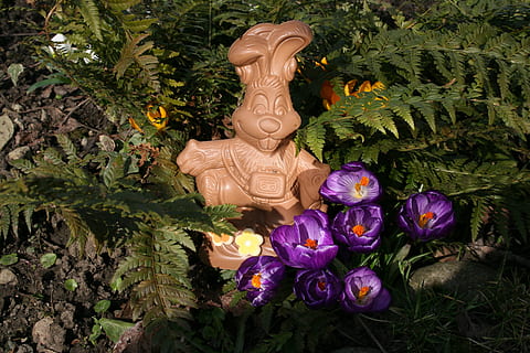 easter bunny, nature, chocolate, easter, grass, spring, crocus, easter theme, spring awakening, bloom, plant, flower, art and craft, sculpture, flowering plant, representation, no people, statue, human representation, freshness, day, close-up, growth, craft, belief, religion, creativity, outdoors, spirituality, ornate, purple, angel, 2K, CC0, public domain, royalty free