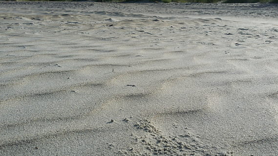 Sand, Strand, Wind, Land, High Angle View, Natur, keine Leute, Fußabdruck, Tag, Vollbild, Spur - Impressum, Ruhe, Hintergründe, drucken, draußen, Tierspur, Muster, Pfotenabdruck, Wasser, Meer, Abwesenheit, 4K, CC0, gemeinfrei, lizenzfrei