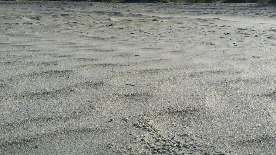 Sand, Strand, Wind, Land, High Angle View, Natur, keine Leute, Fußabdruck, Tag, Vollbild, Spur - Impressum, Ruhe, Hintergründe, drucken, draußen, Tierspur, Muster, Pfotenabdruck, Wasser, Meer, Abwesenheit, 4K