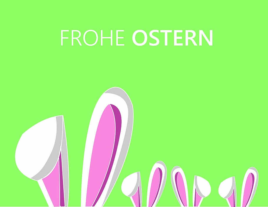 del text ostern, Pasqua, llebre, orelles, conill, targeta de felicitació, animal, bonic, decoratiu, dolç, sort, vector, il·lustració, fons, disseny, color verd, multicolor, cap gent, comunicació, text, celebració, decoració, color rosa, utensili per menjar, groc, elecció, esdeveniment, estri de cuina, ratlles, remolí, símbol, 2K