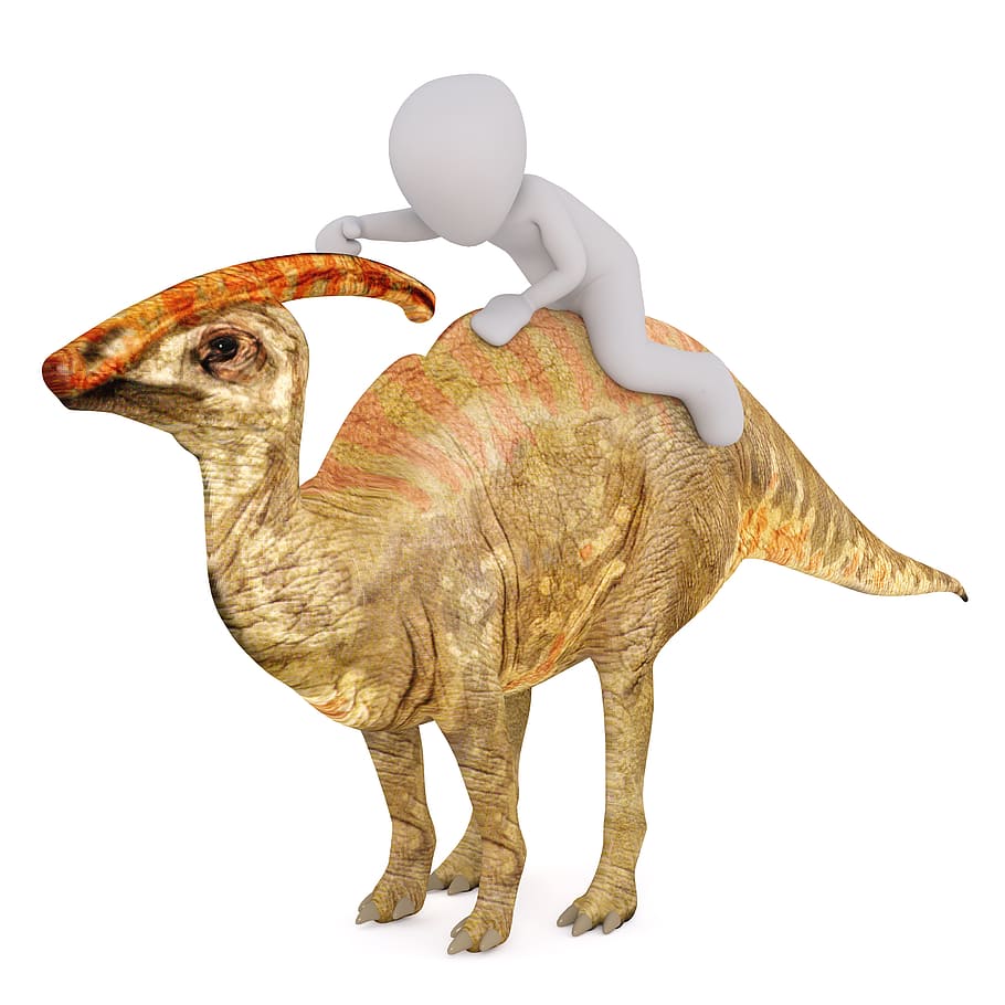 illustrazione di dinosauro marrone, maschi, Modello 3d, isolato, 3d, modello, 3d, modello, tutto il corpo, bianca, Uomo 3d, 3d-model, maschio bianco, dino, dinosauro, giro, archaeopteryx, sfondo bianco, in piedi, girato in studio, lunghezza intera, nessuno, temi animali, animale, mammifero, in casa, rappresentazione animale, ritagliare, rappresentazione, vertebrato, animali domestici, arte e artigianato, natura morta, un animale, mestiere, creatività, copia spazio, domestico, 8K