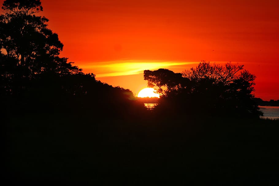 amazonia, sunset, amazon river, silhouette, sky, tree, orange color, scenics - nature, plant, beauty in nature, tranquil scene, tranquility, nature, landscape, no people, environment, sun, idyllic, outdoors, non-urban scene, growth, copy space, romantic sky, 2K