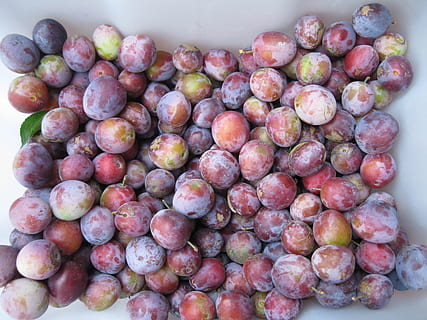 plum, buah, panen, pohon, makan, ungu, alam, makanan dan minuman, makanan, kesejahteraan, makan sehat, kesegaran, sekelompok besar objek, masih hidup, tidak ada orang, kelimpahan, merapatkan, dalam ruangan, tampilan sudut tinggi, hari, tepat di atas, tumpukan, merah, anggur, meja, anggur merah, 2K, CC0, domain publik, bebas royalti