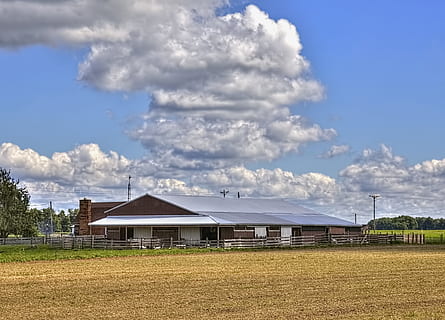 Scheune, rustikal, Scheunen, Ohio, digitale Kunst, ländlich, szenisch, Land, Landschaft, Schuppen, wirft, Bauernhof, Bauernhöfe, Landwirtschaft, landwirtschaftlich, Bauernhaus, champaign, Bezirk, Americana, Foto, fotografieren, Struktur, Strukturen, sturgell, William Sturgell, bill sturgell, historisch, Wohnkultur, Gebäude, Wolken, Himmel, Baum, Bäume, wolkig, Unkraut, Champaign County, Urbana, gebaute Struktur, die Architektur, Gebäudehülle, wolke - himmel, Feld, Tag, Umgebung, Natur, Pflanze, keine Leute, Haus, Gras, ländliche Szene, draußen, Netzteil, 4K, CC0, gemeinfrei, lizenzfrei