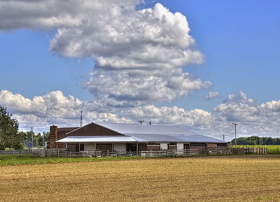 Scheune, rustikal, Scheunen, Ohio, digitale Kunst, ländlich, szenisch, Land, Landschaft, Schuppen, wirft, Bauernhof, Bauernhöfe, Landwirtschaft, landwirtschaftlich, Bauernhaus, champaign, Bezirk, Americana, Foto, fotografieren, Struktur, Strukturen, sturgell, William Sturgell, bill sturgell, historisch, Wohnkultur, Gebäude, Wolken, Himmel, Baum, Bäume, wolkig, Unkraut, Champaign County, Urbana, gebaute Struktur, die Architektur, Gebäudehülle, wolke - himmel, Feld, Tag, Umgebung, Natur, Pflanze, keine Leute, Haus, Gras, ländliche Szene, draußen, Netzteil, 4K