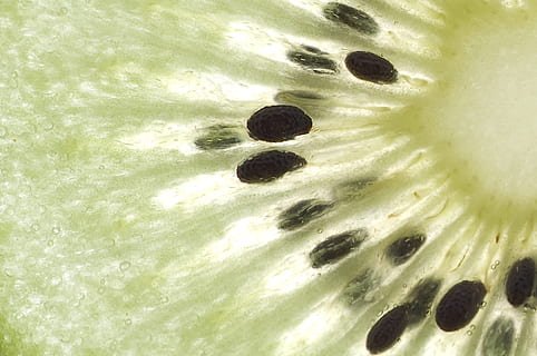 fruita, kiwi, macro, cap gent, primer pla, naturalesa, marc complet, color verd, planta, fons, patró, creixement, forat, menjar, menjar i beguda, dia, aigua, a l'aire lliure, textura, frescor, bellesa a la natura, 2K, CC0, domini públic, lliure de regalies