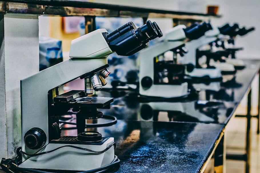 microscopio, selettivo, fotografia a fuoco, bianca, nero, laboratorio, scienza, aula, attrezzatura, in casa, tecnologia, concentrarsi sulle conoscenze acquisite, avvicinamento, nessuno, attrezzatura da laboratorio, strumento ottico, macchinario, formazione scolastica, ricerca, chimica, giorno, messa a fuoco selettiva, tavolo, esperimento scientifico, scoperta, 5K