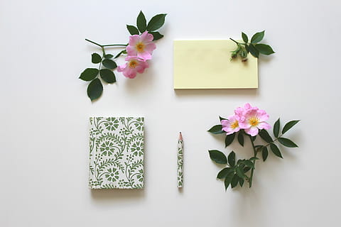 Rosa, flores de pétalas, livro, lápis, notizbuch, notas, Nota, papel, stickies, bloco de anotações, Lista, ferramenta de escrita, escritório, quadra, sair, texto dom, embaixada, caderno, livreto, entrar, romântico, sem título, material de escritório, flor, planta com flores, plantar, natureza, parte da planta, frescura, folha, beleza na natureza, pétala, ninguém, dentro de casa, cor rosa, tiro do estúdio, fechar-se, cabeça de flor, cor verde, inflorescência, vulnerabilidade, mesa, roxa, Ramo de flores, 5K, CC0, domínio público, royalty free
