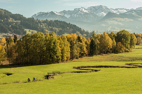 aèria, vista, verd, pastures, allgäu, bosc, prat, bach, muntanyes, tardor, colors de la tardor, paisatge, algäu alps, planta, arbre, bellesa a la natura, herba, escenics - natura, color verd, muntanya, terra, medi ambient, naturalesa, camp, tranquil·litat, escena tranquil·la, dia, escena no urbana, creixement, activitat d'oci, idíl·lic, cel, Serra, a l'aire lliure, 5K, CC0, domini públic, lliure de regalies