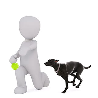 untitled, hanner, 3d model, isolerede, 3d, model, 3d, model, fuld krop, hvid, 3d mand, 3d-model, hvid mand, beskæftigelse, hund, bold, boldspil, fangst, dyr, hvid baggrund, kæledyr, studio skud, et dyr, pattedyr, hunde, indenlandske, husdyr, hvirveldyr, repræsentation, skåret ud, ingen mennesker, indendørs, kopiere plads, legetøj, menneskelig repræsentation, lille, 8K, CC0, offentligt domæne, royaltyfrie