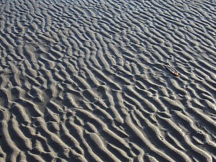 amrum, kniepsand, Ebbe, Wellenmuster, Sand, Meer, Land, Strand, High Angle View, keine Leute, Natur, Tag, Hintergründe, Vollbild, Muster, Ruhe, natürliches Muster, Schönheit in der Natur, Sanddüne, draußen, Szenen - Natur, Nicht-städtische Szene, Wüste, Landschaft, trockenes Klima, Klima, 4K, CC0, gemeinfrei, lizenzfrei