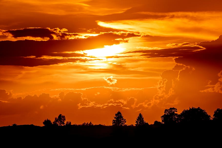 silueta, arbres, daurat, hores, posta de sol, Sol ponent, cel de la nit, sol, abendstimmung, resplendor, núvols, wolkenspiel, humor, taronja, cel, romanç, naturalesa, romàntic, sol de tarda, escenics - natura, bellesa a la natura, núvol - cel, color taronja, tranquil·litat, medi ambient, paisatge, llum solar, arbre, escena tranquil·la, cel dramàtic, planta, idíl·lic, cap gent, escena no urbana, a l'aire lliure, bosc, fosc, 5K
