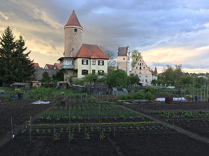 barri antic, monestir, històricament, estructures, façana, casc antic històric, llocs d'interès, torre, baviera, edat mitjana, parc, jardí, guarderia, maçoneria, paret, verd, Alemanya, estiu, arquitectura, exterior de l'edifici, estructura construïda, cel, edifici, planta, núvol - cel, religió, arbre, naturalesa, posta de sol, lloc de culte, cap gent, creença, espiritualitat, el passat, dia, 4K, CC0, domini públic, lliure de regalies