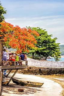 platja, coberta, búzios, estiu, sol, Brasil, pescador, litoral, embarcacions, planta, arbre, arquitectura, naturalesa, dia, estructura construïda, tardor, persones reals, persones incidentals, homes, creixement, canvi, cel, grup de persones, a l'aire lliure, llum solar, exterior de l'edifici, parc, gent, activitat d'oci, 2K, CC0, domini públic, lliure de regalies